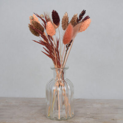 Droogbloemen vaasje bol - Apricot